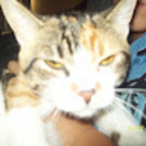 Meet your Posher, Marcus